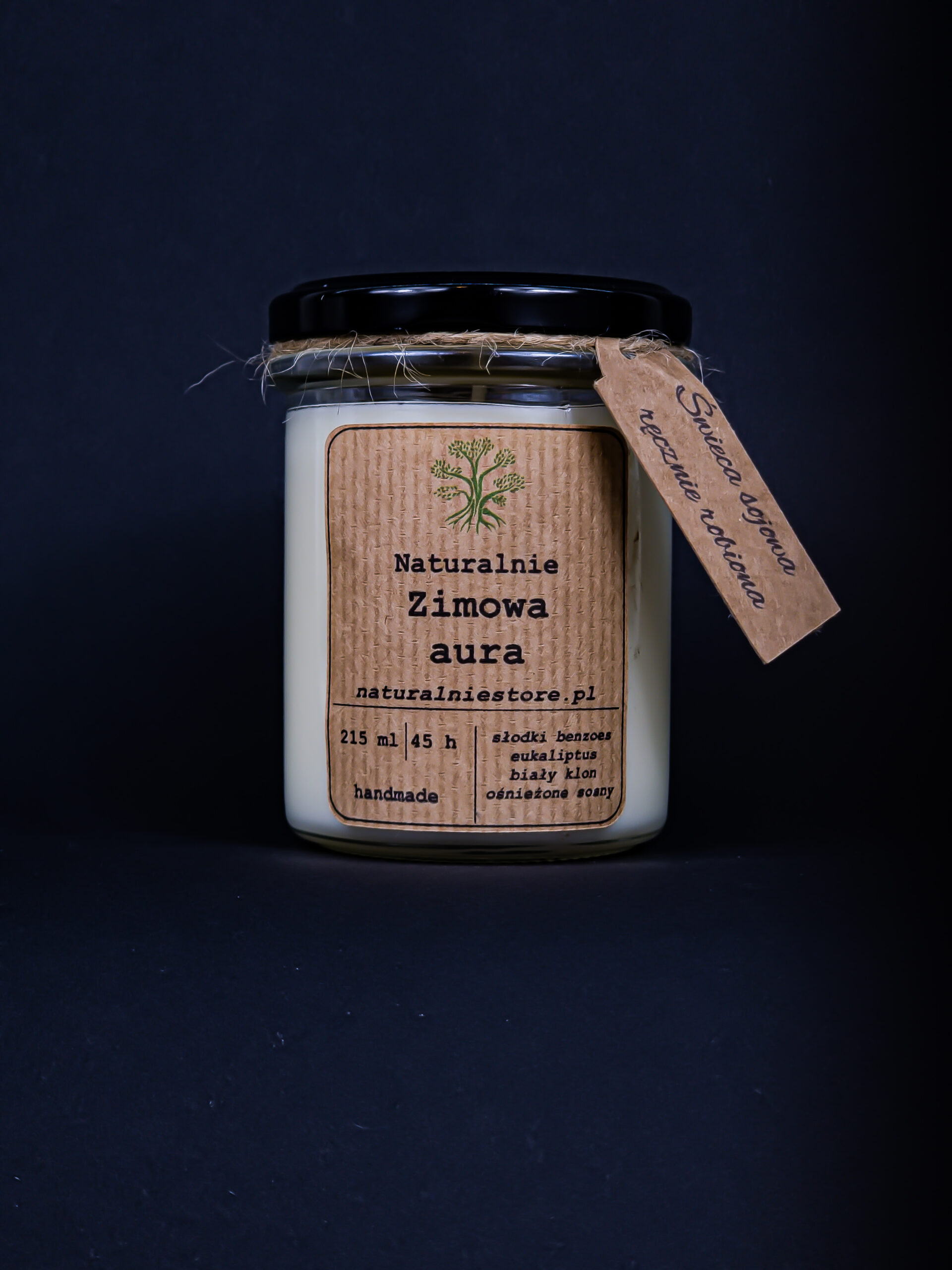 Świeca Sojowa Zimowa Aura